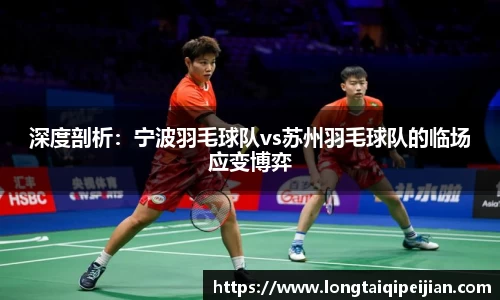 深度剖析：宁波羽毛球队vs苏州羽毛球队的临场应变博弈