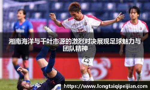 DG视讯APP